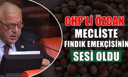 “6 DOLARIN ALTINDAKİ HER FİYAT ÜRETİCİYİ PERİŞAN EDER”