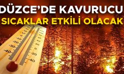 VALİ ASLAN ORMAN YANGINLARINA KARŞI DÜZCELİLER’İ UYARDI
