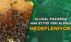 YIĞILCA KESTANE BALI İÇİN COĞRAFİ İŞARET BAŞVURUSU YAPILDI