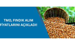 TMO, FINDIK ALIM FİYATLARINI AÇIKLADI!