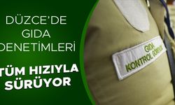 ÇOK SAYIDA İŞLETMEYE PARA CEZASI KESİLDİ