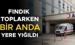 FINDIK İŞÇİSİ KALDIRILDIĞI HASTANEDE TEDAVİ ALTINA ALINDI