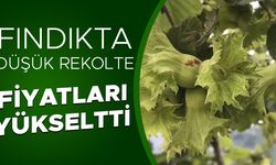 ÜRETİCİLER SERBEST PİYASAYA YÖNELDİ…