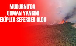 BOLU'DA ÇIKAN ORMAN YANGININA MÜDAHALE EDİLİYOR
