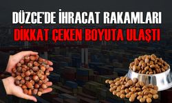 EN ÇOK ORMAN ÜRÜNÜ VE KEDİ – KÖPEK MAMASI İHRAÇ EDİLDİ
