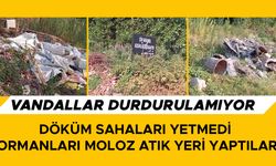 TABELA VAR BAKAN BİLE YOK