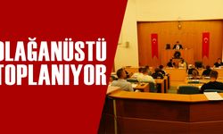 KONU: HAVA KİRLİLİĞİ VE TEMİZ DÜZCE