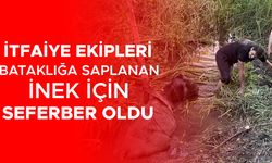 UZUN SÜREN ÇALIŞMALARIN ARDINDAN KURTARILDI