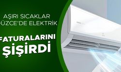 ELEKTRİK TÜKETİMİ TÜM ZAMANLARIN EN YÜKSEK SEVİYESİNE ÇIKTI