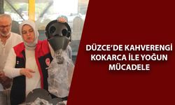 36 BİN DEKARLIK ALANDA ÇALIŞMALAR VE ÜRETİCİ DESTEĞİ