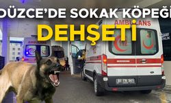 KÖPEĞİN SALDIRISINA UĞRAYAN KÜÇÜK ÇOCUK TEDAVİ ALTINA ALINDI