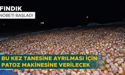 BU KEZ TANESİNE AYRILMASI İÇİN PATOZ MAKİNESİNE VERİLECEK