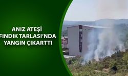 TÜRKİYE’DE ORMAN YANGINLARI KONUŞULURKEN, AKÇAKOCA’DA YÜREKLER AĞIZLARA GELDİ