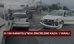 DÜZCE'DE TRAFİK KAZASINDA 1 KİŞİ YARALANDI