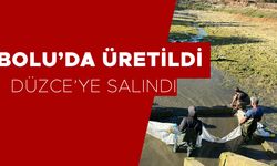 BU ÇALIŞMA GELECEK NESİLLER İÇİN…