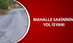 KÖY YOLU ASFALTLANDI, MAHALLE YOLU KALDI
