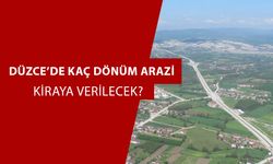 LİSTELER ASKIDAN İNİYOR