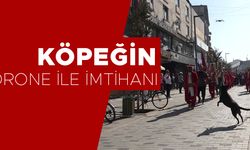 ÖNCE ZIPLADI YAKALAYAMAYINCA HAVLADI