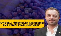 FINDIK FİYATLARI SERBEST PİYASADA YÜKSELİŞİNİ SÜRDÜRÜYOR