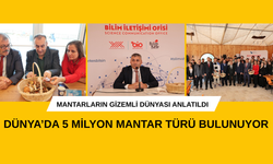 MANTARLARIN GİZEMLİ DÜNYASI ANLATILDI