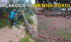 YIKILAN AĞAÇ CAMİYE YAKACAK OLDU