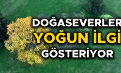 "SONBAHARIN TONLARI" MEST EDİYOR