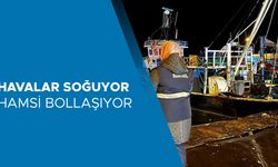 AKÇAKOCA’DAN 10 GÜNDE 721 TON HAMSİ ÇIKIŞI OLDU
