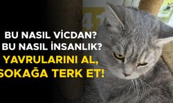 GÖLYAKA’DA YÜREKLERİ SIZLATAN OLAY