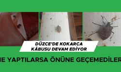 ŞİMDİ DE EVLERİ İSTİLA ETTİLER…