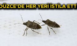 “KARANLIK VE GİZLİ YERLERİ TEMİZLEYİN”