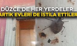 UZMANINDAN ‘KESİNLİKLE ELLE DOKUNMAYIN’ UYARISI