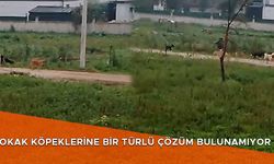 MAHALLE SAKİNLERİ TEDİRGİN