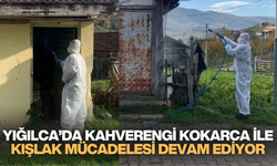 YIĞILCA'DA KAHVERENGİ KOKARCA İLE KIŞLAK MÜCADELESİ DEVAM EDİYOR