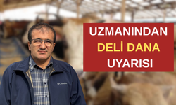 UZMANINDAN 'DELİ DANA' UYARISI