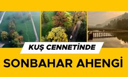 HAYRAN BIRAKAN GÜZELLİK…