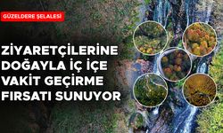 GÜZELDERE ŞELALESİ TABİAT PARKI'NDA SONBAHAR RENKLERİ