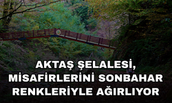 DÜZCE'NİN EKOTURİZM ROTASI 'AKTAŞ ŞELALESİ'