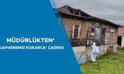 DÜZCE’DE KAHVERENGİ KOKARCA ZARARLISI İLE MÜCADELE DEVAM EDİYOR