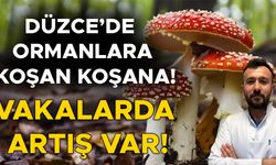 UZMANI UYARDI: TOPLAMAYIN, RİSK ALMAYIN!