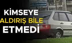 KIRMIZI IŞIKTA BEKLEMEK İSTEMEYEN SÜRÜCÜNÜN YAPTIĞI ‘PES’ DEDİRTTİ