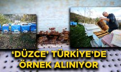 YIĞILCA ARISI ARTIK BİR MARKA