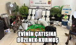 UYUŞTURUCU BİTKİ YETİŞTİREN ŞÜPHELİ YAKALANDI