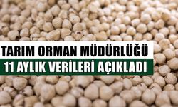 DÜZCE’DEN AB ÜLKELERİNE 16 BİN 350 TON FINDIK İHRAÇ EDİLDİ