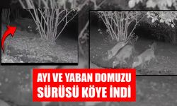 EVİN BAHÇESİNİ DAĞITTILAR