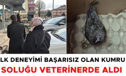 DUYARLI VATANDAŞTAN İNSANLIK DERSİ