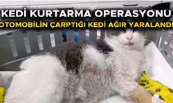 TEDAVİSİ İÇİN İSTANBUL’A GÖNDERİLDİ