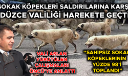 “DÜZCE SOKAKLARINDA ARTIK SAHİPSİZ KÖPEK OLMAYACAK”