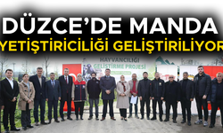 ÜRETİCİLERE 17 ADET MANDA BOĞASI DAĞITILDI