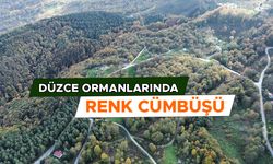 KARTPOSTLLIK MANZARA HAVADAN GÖRÜNTÜLENDİ