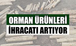 DÜZCE’DEN 22 BİN 310 TON ORMAN ÜRÜNÜ İHRAÇ EDİLDİ